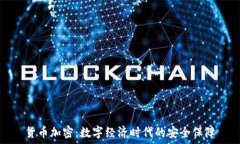   货币加密：数字经济时代的安全保障