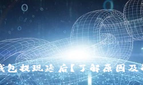 区块链钱包提现延后？了解原因及解决方案