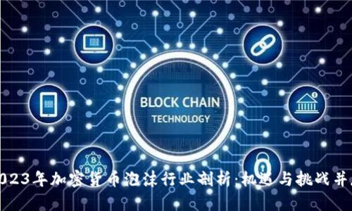 2023年加密货币泡沫行业剖析：机遇与挑战并存